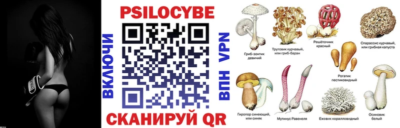 Псилоцибиновые грибы Cubensis  Озёрск 
